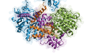 Mechanism of leukemia predisposition unraveled Mechanism of leukemia predisposition unraveled