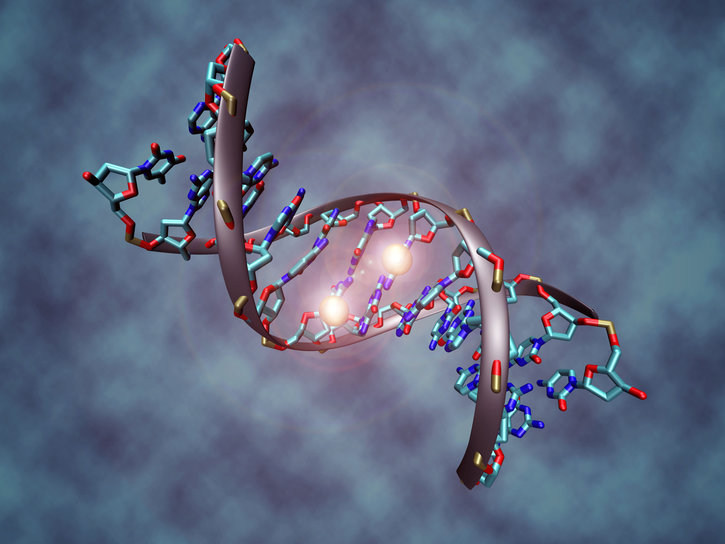From octopus to elephant: a molecular zoo of epigenetics From octopus to elephant: a molecular zoo of epigenetics