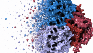 A New Layer of Control for a Decades-Old Leukemia Drug A New Layer of Control for a Decades-Old Leukemia Drug